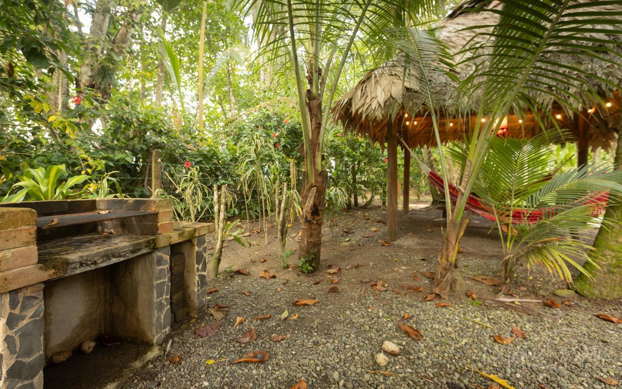Our Beachfront Bungalow Punta Uva Exterior photo